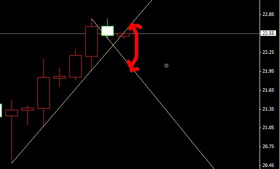 �����Pע�^�g