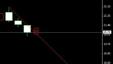 ����֧��