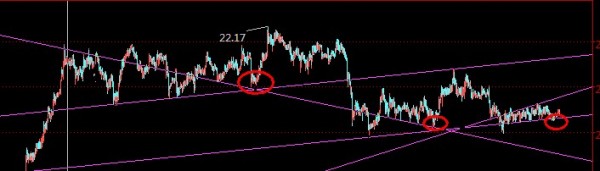 ���y5��犾�