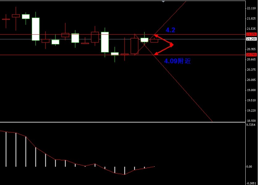 �����y���Ӆ^(q��)�g