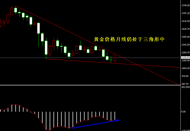 �S���r(ji��)���߄�(sh��)�D