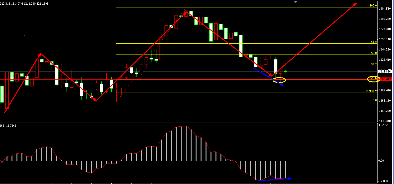 �S���r���߄݈D