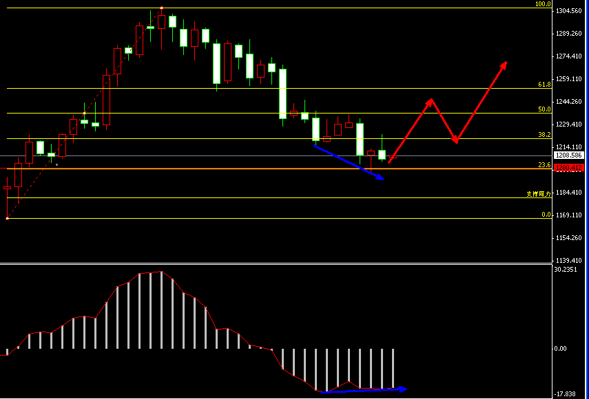 �S���վ��߄݈D