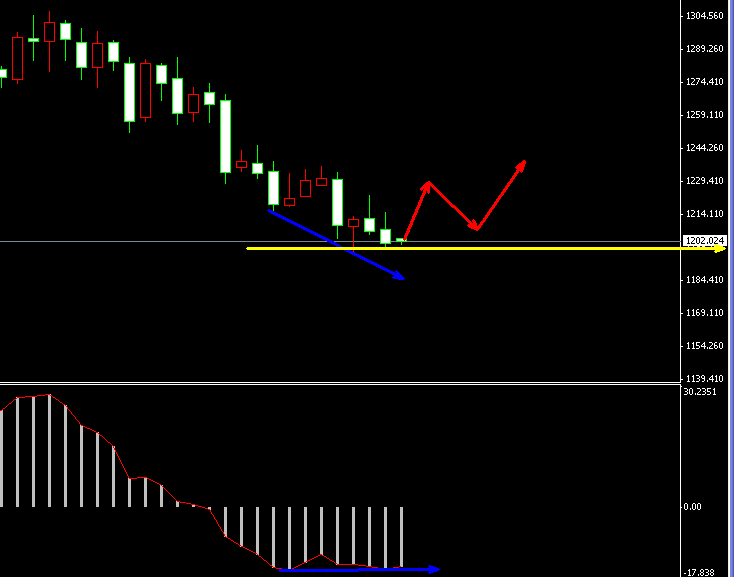 �S���վ��߄݈D