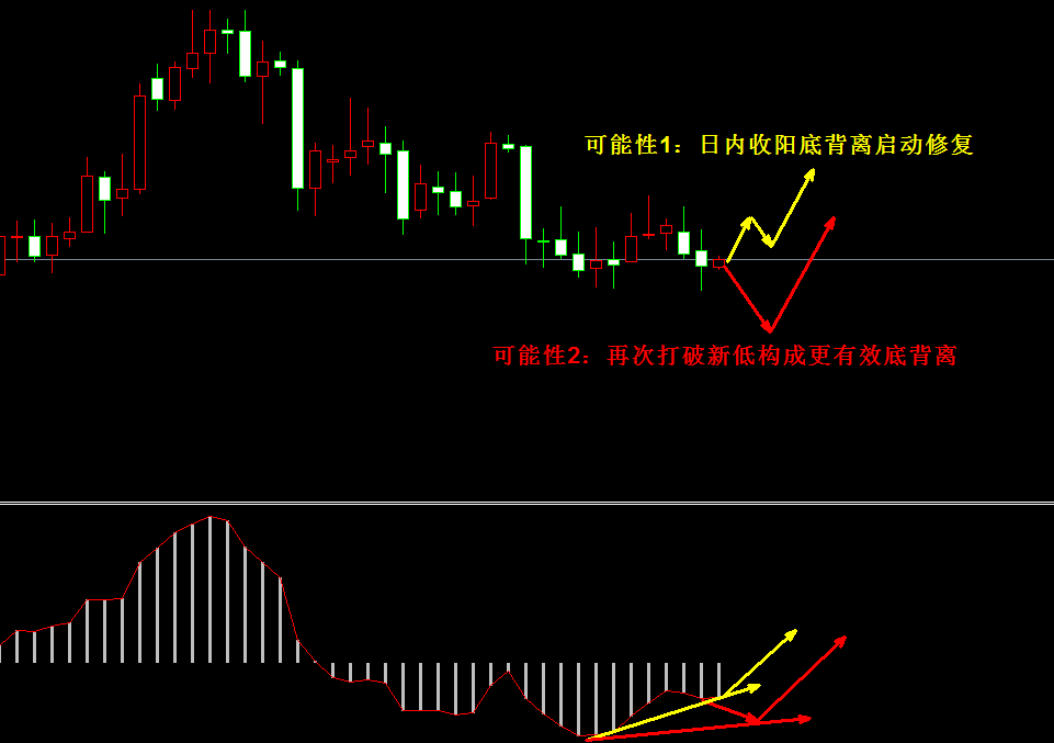 �����y�߄݈D