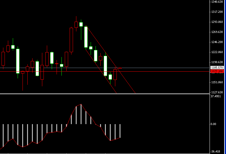 �S���r���߄݈D