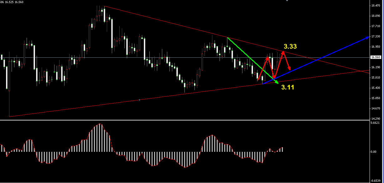 �����y�������տs�^�g