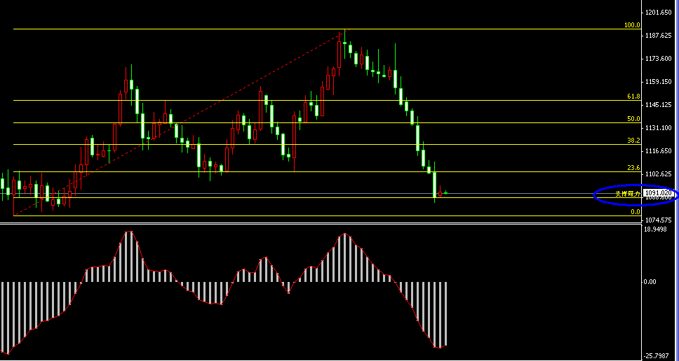 �S���վ��߄݈D