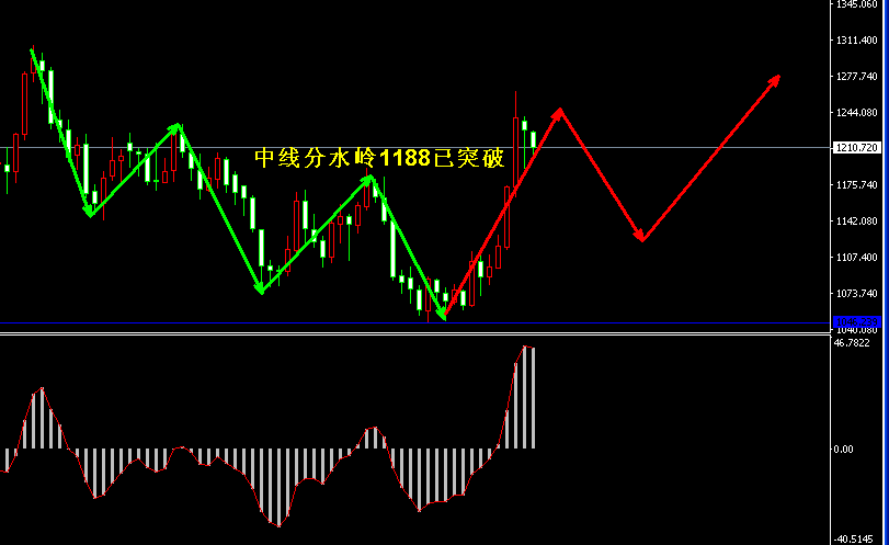 �S���r���߄݈D