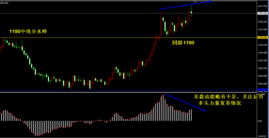 �S���r���߄݈D