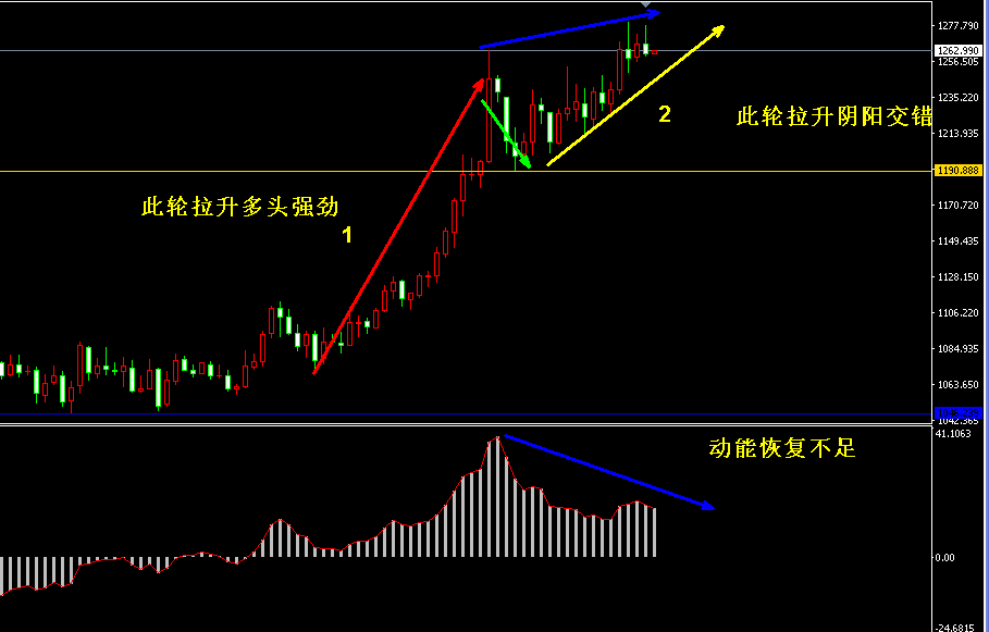 �S���r���߄݈D