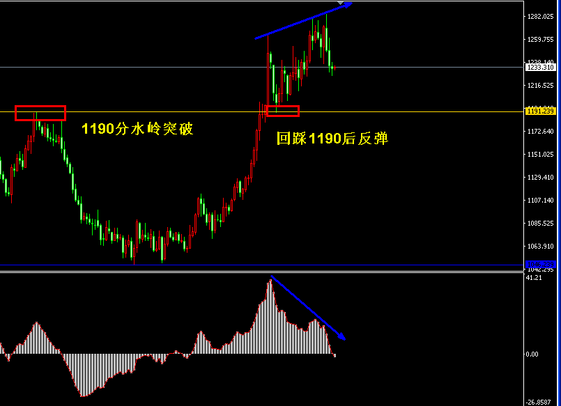 �S���r���վ��߄�