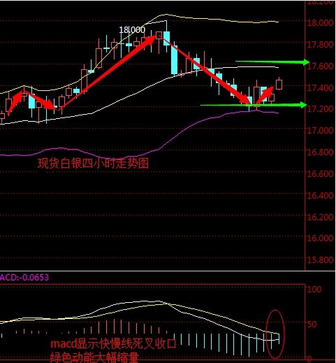 ���y���g���߄݈D