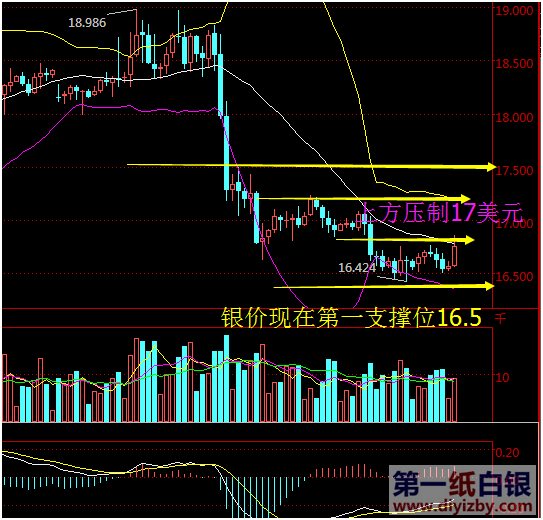 ���y�^�g����