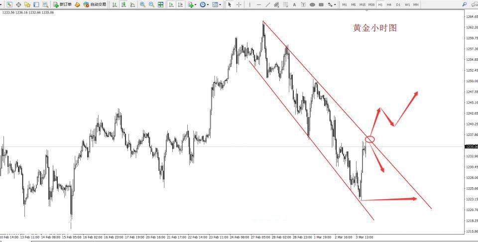 �S���r(ji��)���߄�(sh��)�D