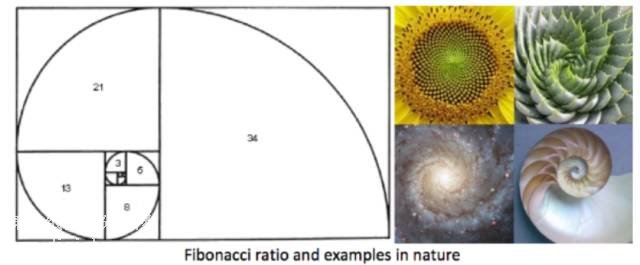 쳲����������͌���