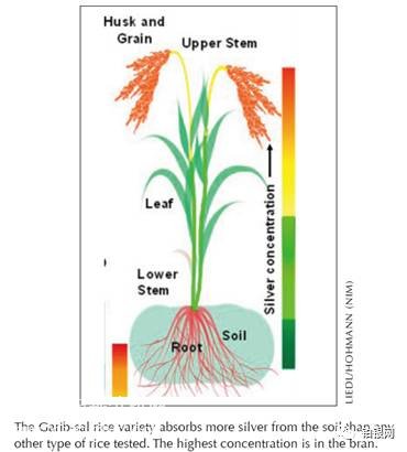 ������ȡ���y