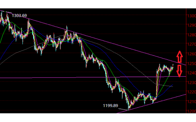 �S���ײ���(0608����)