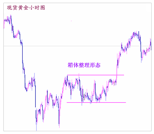 �����y����6